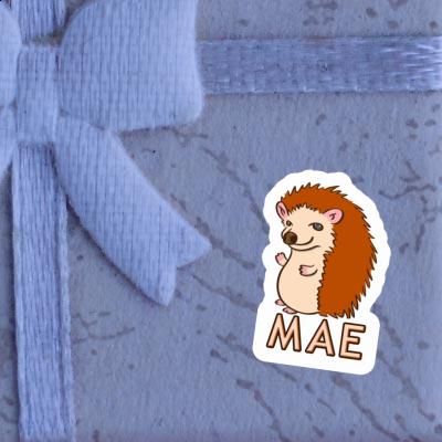 Sticker Hedgehog Mae Laptop Image