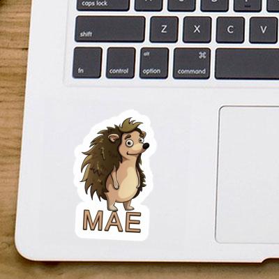 Standing Hedgehog Sticker Mae Gift package Image