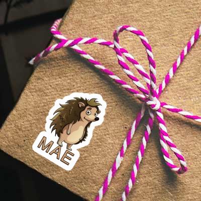 Standing Hedgehog Sticker Mae Gift package Image