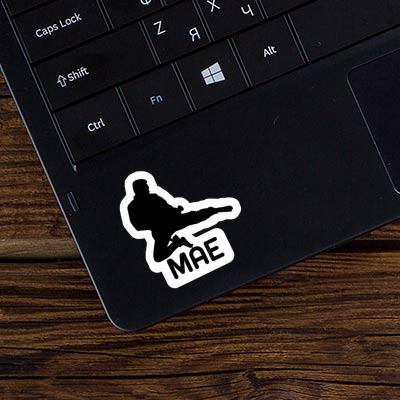 Mae Sticker Karateka Laptop Image