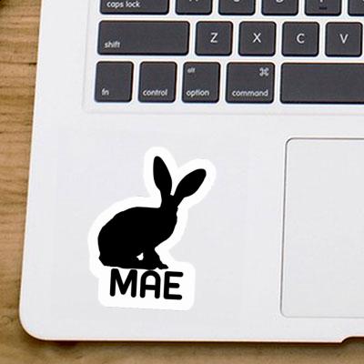 Sticker Mae Rabbit Laptop Image