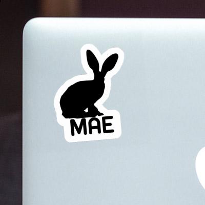 Sticker Mae Rabbit Gift package Image