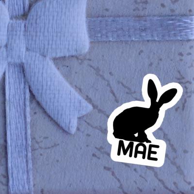 Mae Autocollant Lapin Gift package Image