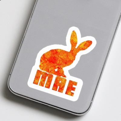 Rabbit Sticker Mae Gift package Image