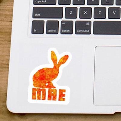 Rabbit Sticker Mae Image