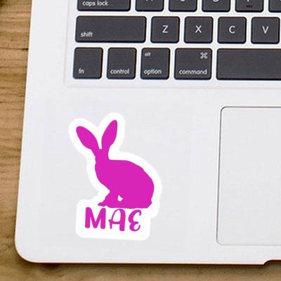 Rabbit Sticker Mae Notebook Image