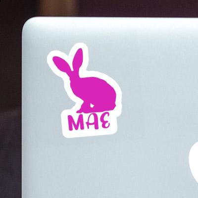 Rabbit Sticker Mae Image