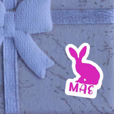 Rabbit Sticker Mae Image