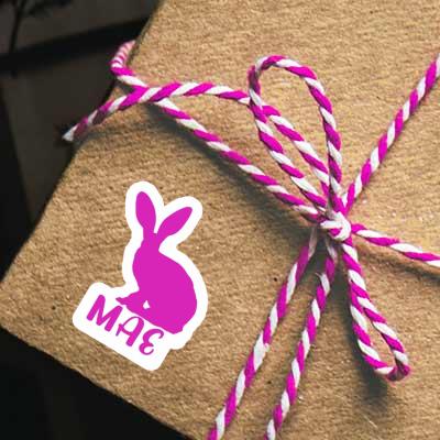 Rabbit Sticker Mae Gift package Image