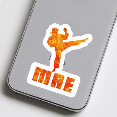 Karateka Sticker Mae Gift package Image