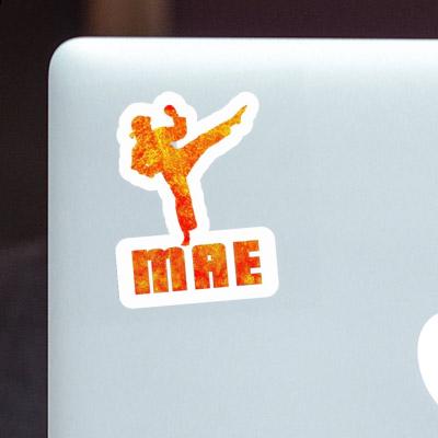 Karateka Sticker Mae Image