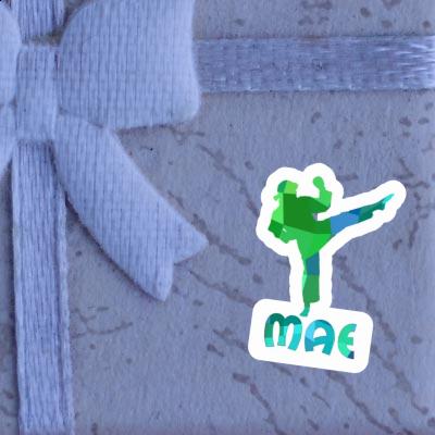 Sticker Mae Karateka Laptop Image