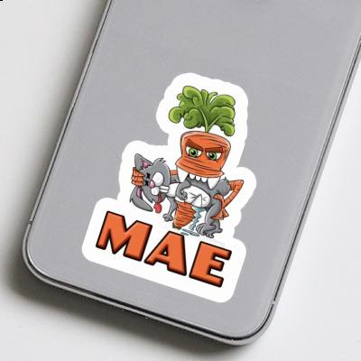 Sticker Monster Carrot Mae Gift package Image