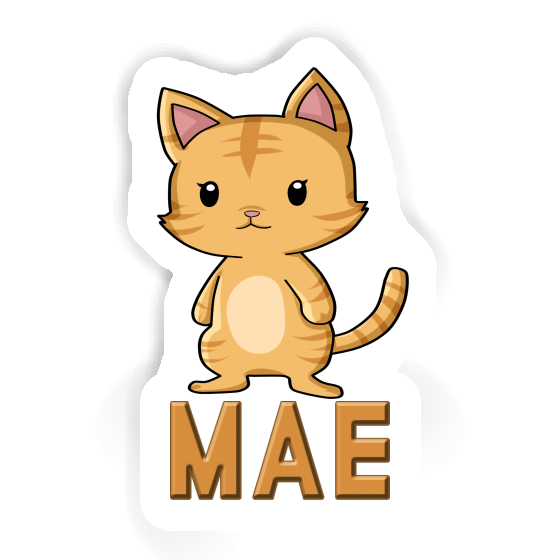 Sticker Mae Catkin Gift package Image