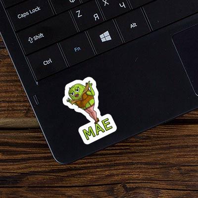 Kiwi Sticker Mae Gift package Image