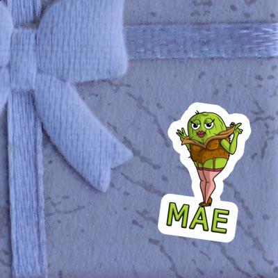 Kiwi Sticker Mae Notebook Image