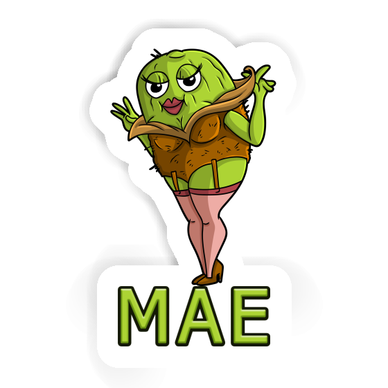 Kiwi Sticker Mae Laptop Image