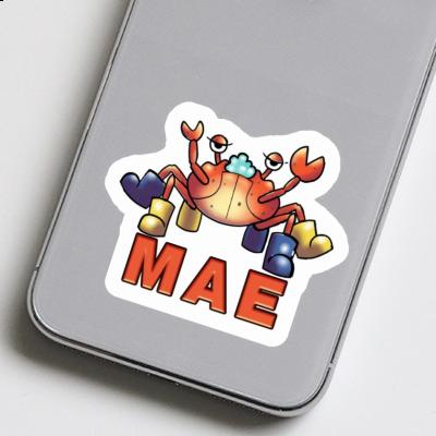 Crab Sticker Mae Gift package Image