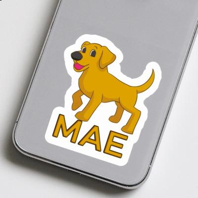 Chien Autocollant Mae Image