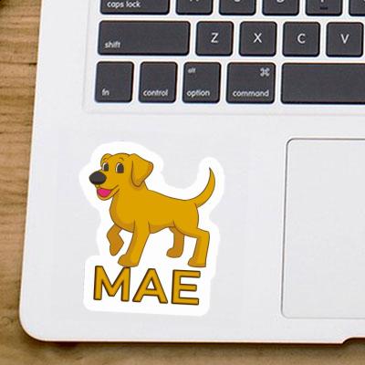 Chien Autocollant Mae Gift package Image