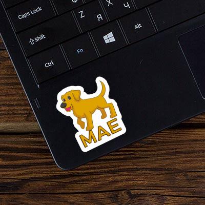 Mae Sticker Labrador Notebook Image