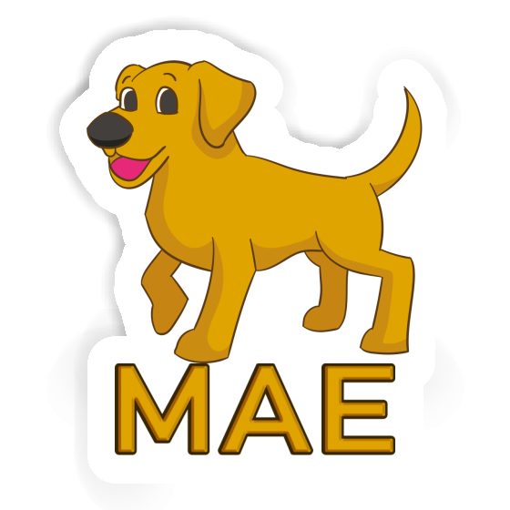 Mae Sticker Labrador Gift package Image