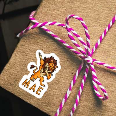 Mae Sticker Dabbing Lion Gift package Image