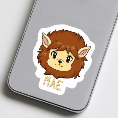 Sticker Mae Lion Laptop Image