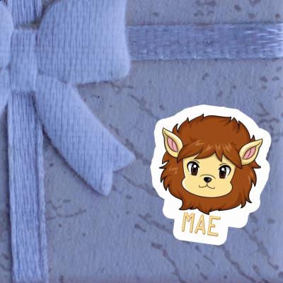 Sticker Mae Lion Notebook Image