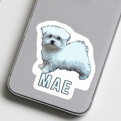 Sticker Doggie Mae Laptop Image