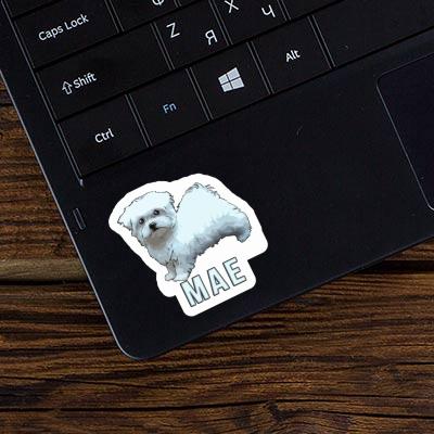 Sticker Doggie Mae Image