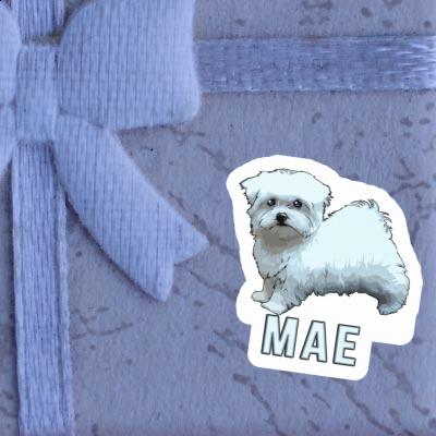 Sticker Doggie Mae Notebook Image