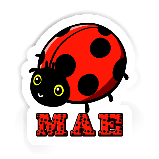 Ladybird Sticker Mae Gift package Image