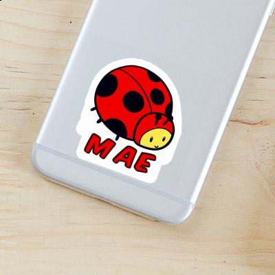 Sticker Mae Ladybug Image