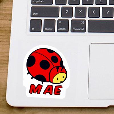 Sticker Mae Ladybug Gift package Image