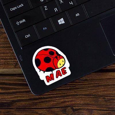 Sticker Mae Ladybug Notebook Image