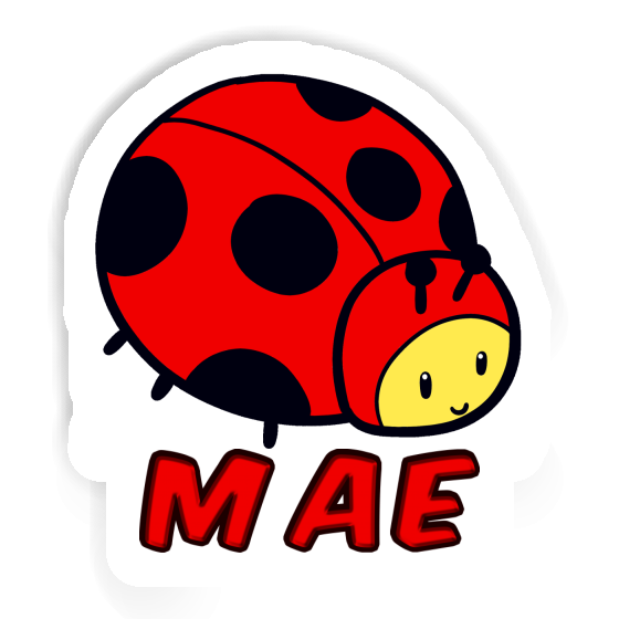 Sticker Mae Ladybug Laptop Image