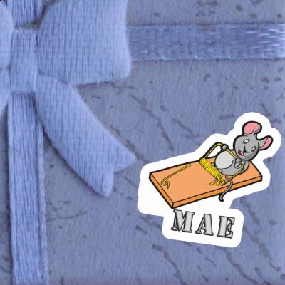 Mouse Sticker Mae Gift package Image