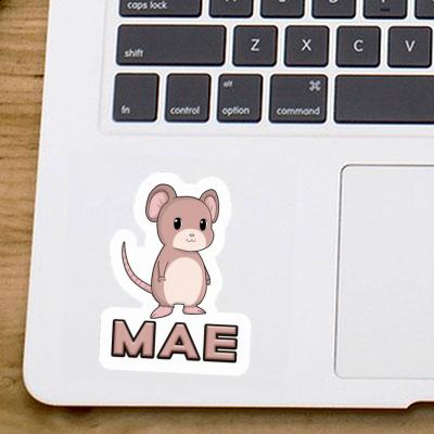 Mae Autocollant Souris Gift package Image