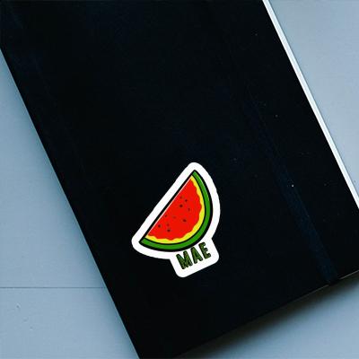 Sticker Mae Melon Laptop Image