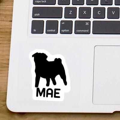 Sticker Mae Pug Laptop Image