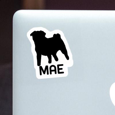 Sticker Mae Pug Gift package Image