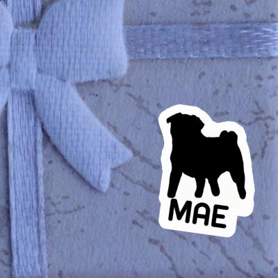 Sticker Mae Pug Laptop Image