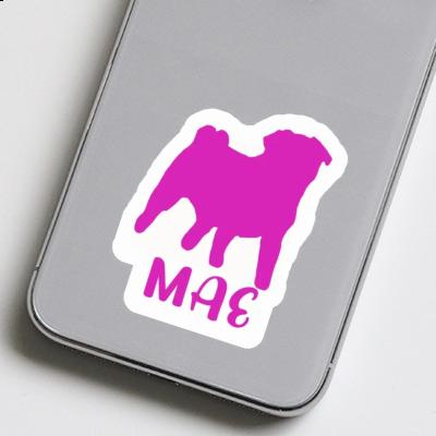 Sticker Pug Mae Laptop Image