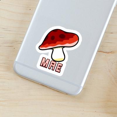 Mae Sticker Fungal Notebook Image