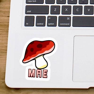 Mae Sticker Fungal Gift package Image