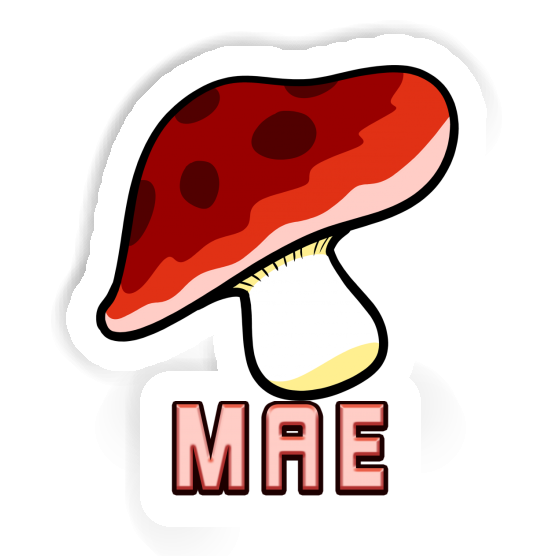 Mae Sticker Fungal Gift package Image