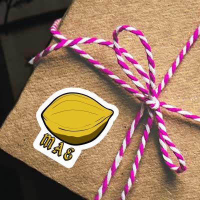 Mae Sticker Nut Gift package Image