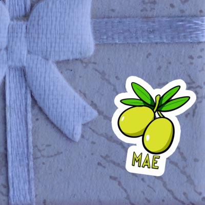 Olive Sticker Mae Notebook Image