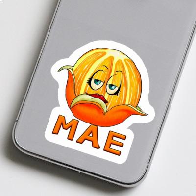 Sticker Mae Orange Laptop Image